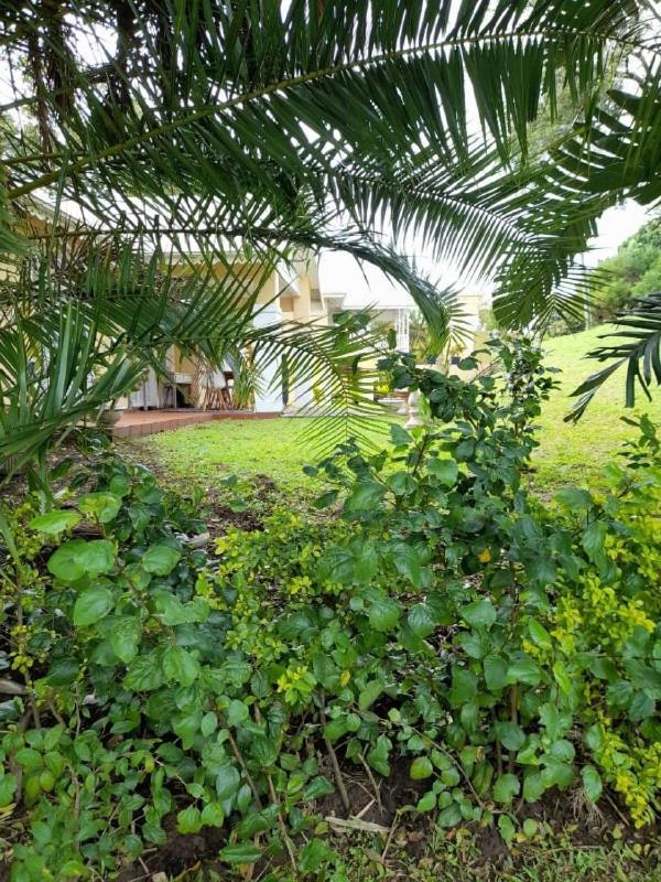 19 MONTEGO BAY CARIBBEAN Estate Apartment Port Edward Exterior foto